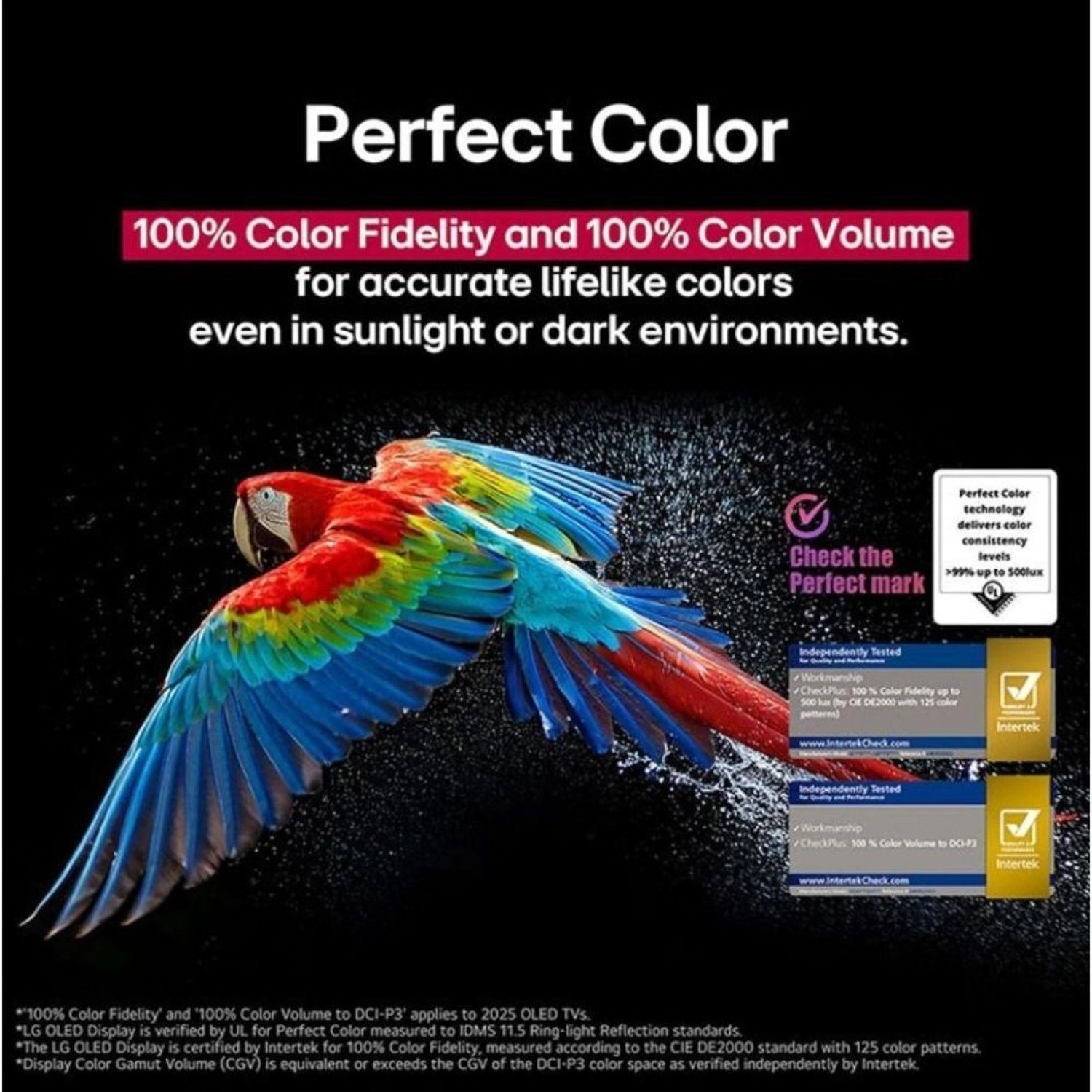 OLED77B56LA-AMAG - 77 in