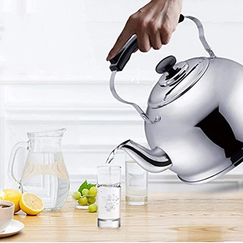 Stovetop Induction Whistling Kettle - 5L