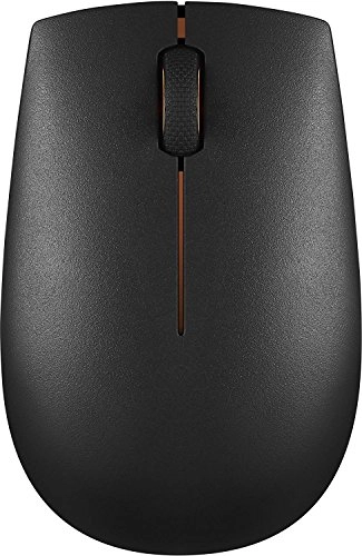 300 Compact Mouse - Wireless