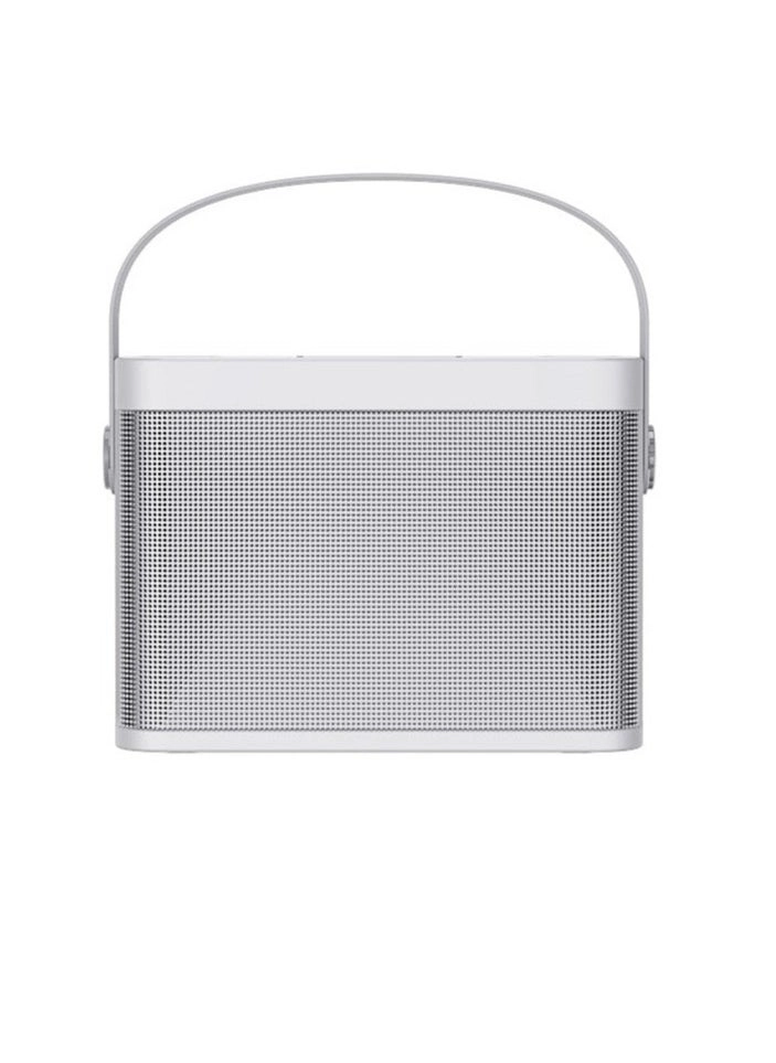 YS-219 - 2 Wireless Microphones