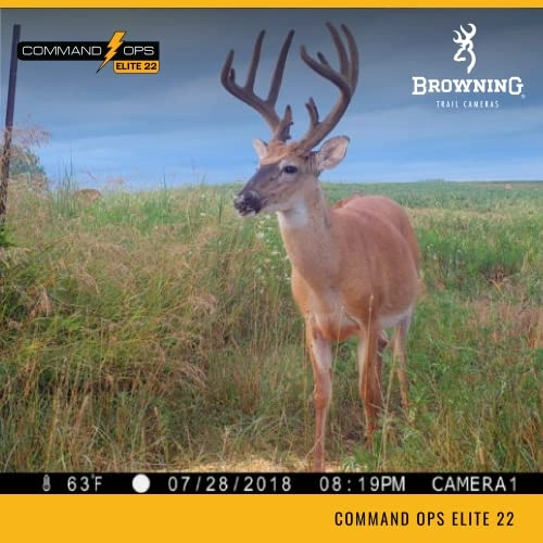 BTC-4E22 - 22 megapixel