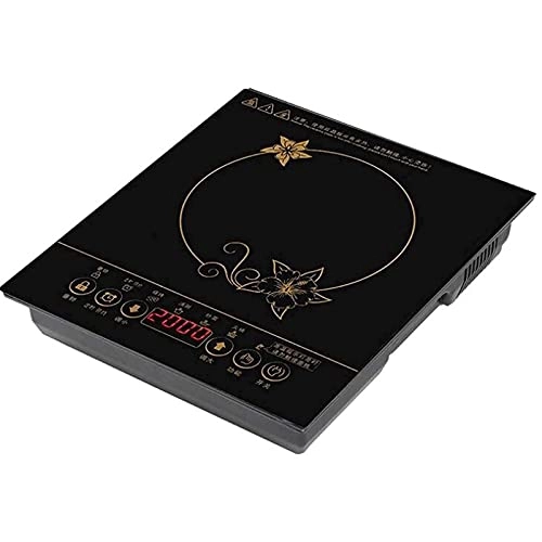 Home Multifunction Induction hob