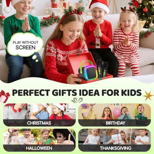 Mini Karaoke Machine - 2 Wireless Mics