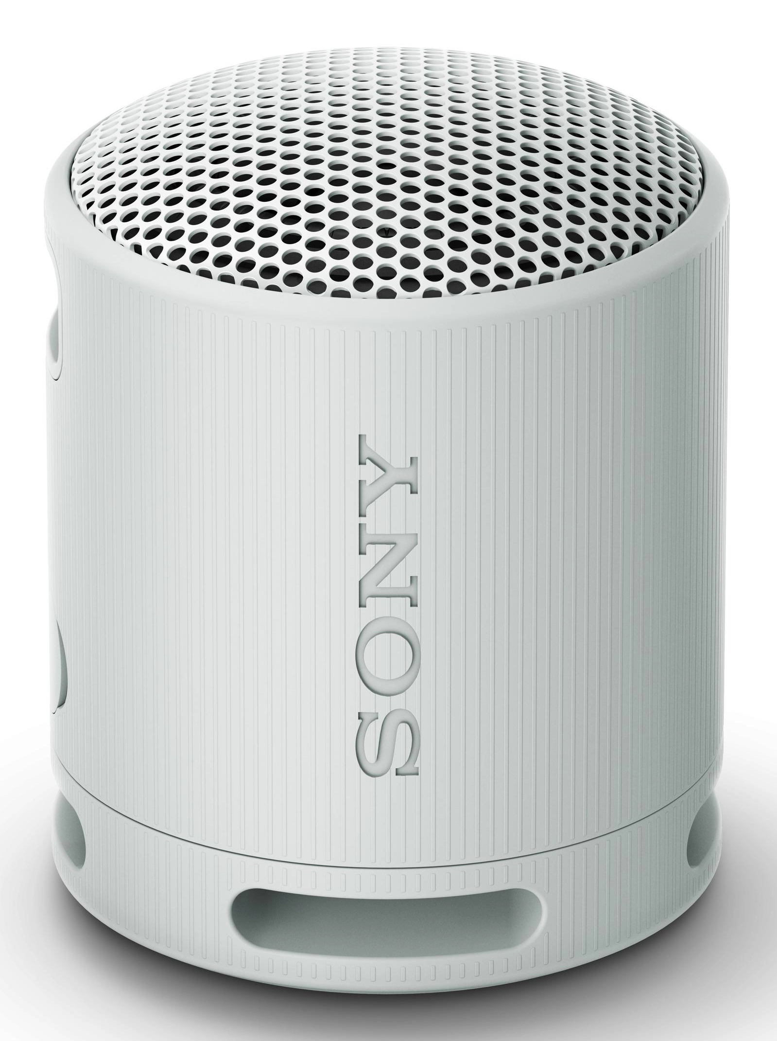 SRS-XB100 SRS-XB100/B-R Portable Wireless Speaker