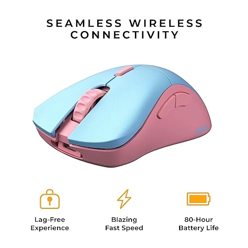 Model D 2Pro - Wireless