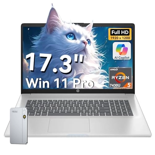 HP Laptop 17 - 17.3'' Ryzen 5-7430U 32GB DDR4 1TB SSD