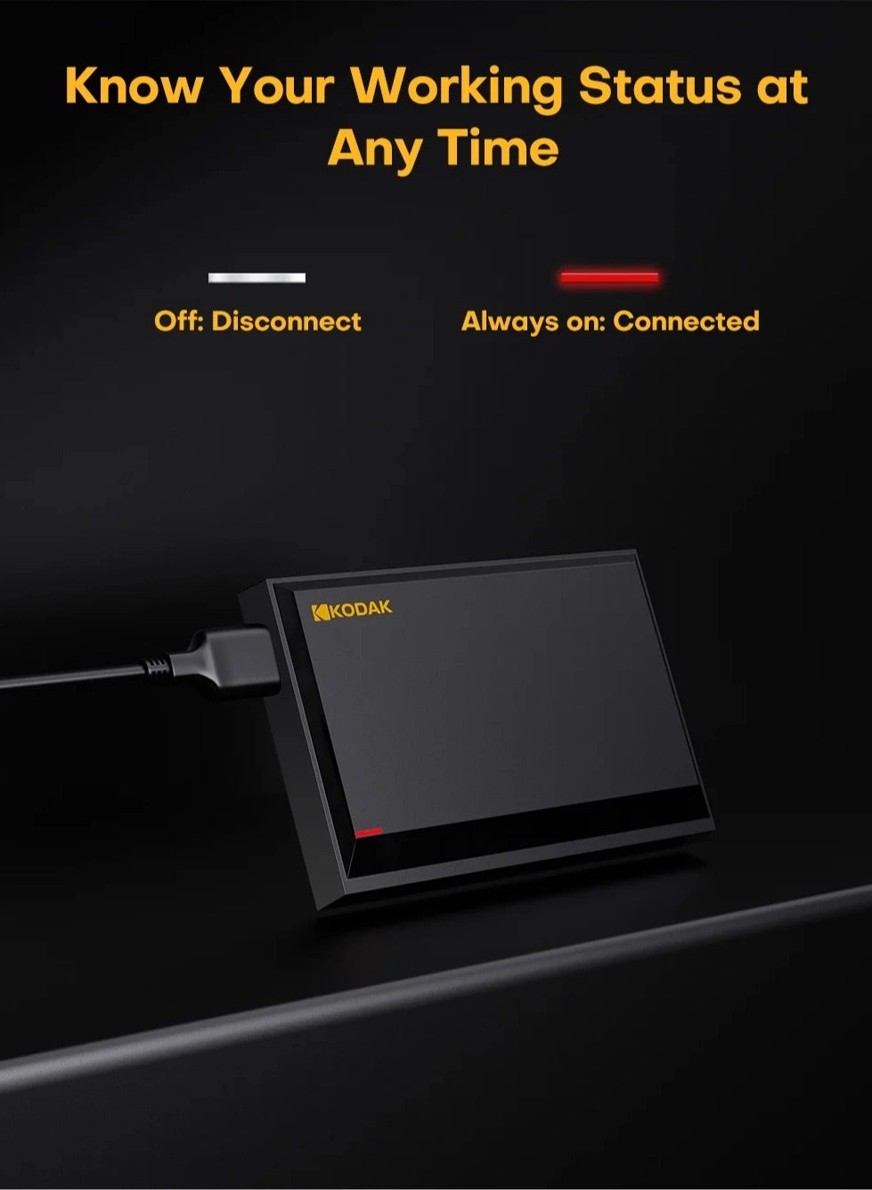 Kodak P190 - 1 TB HDD