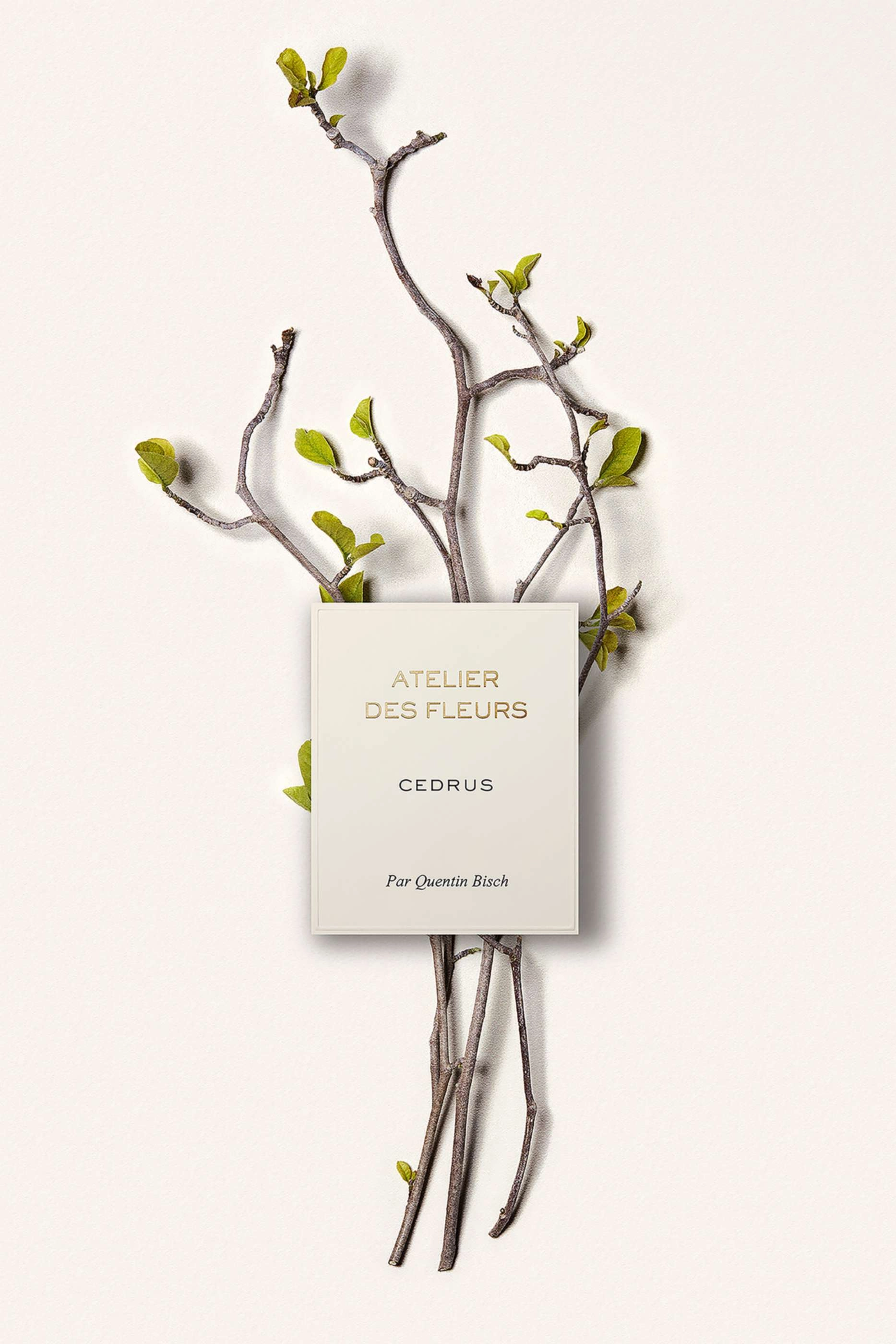 Atelier des Fleurs Cedrus Eau de Parfum 50 ml