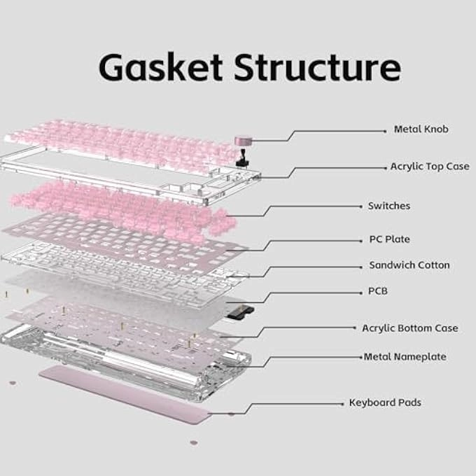 Phantom 81 - Wired/Wireless