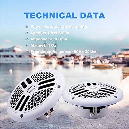 Outdoor Wireless Speaker - 6.5" 120W