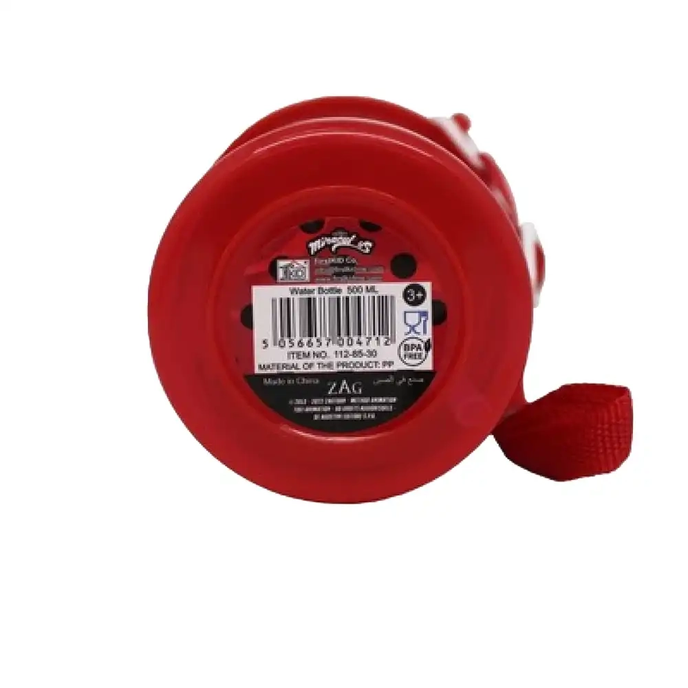 Miraculous Tales of Ladybug and Cat Noir Canteen - Leak Proof