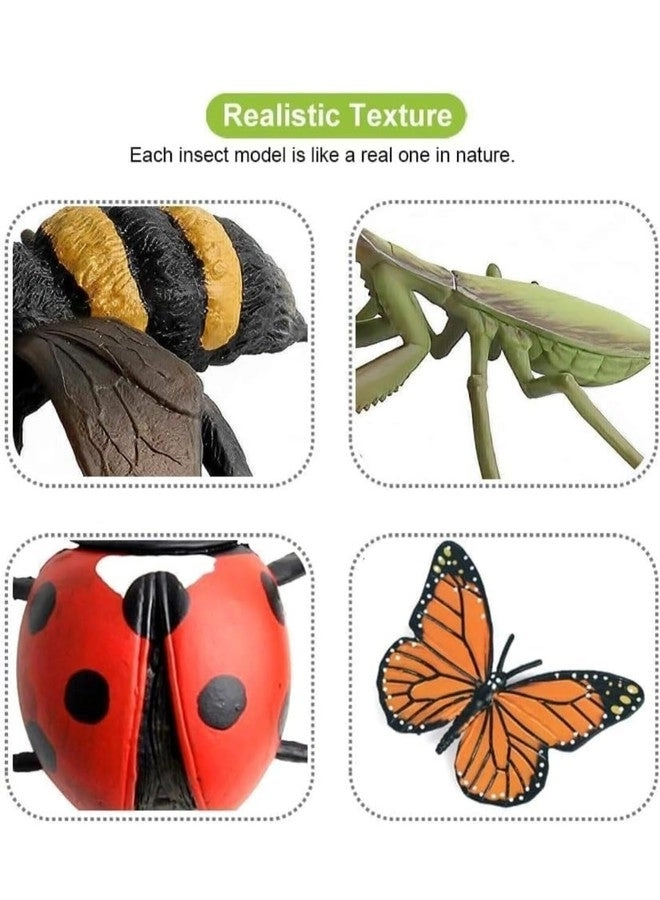 Realistic Insect Toys - Educational 6 pieces