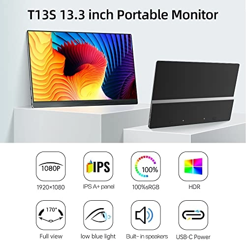 T13S - HD 13.3 inch
