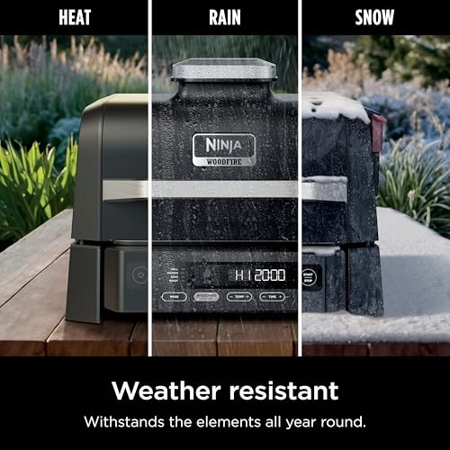 Woodfire Outdoor Grill & Smoker - Electric