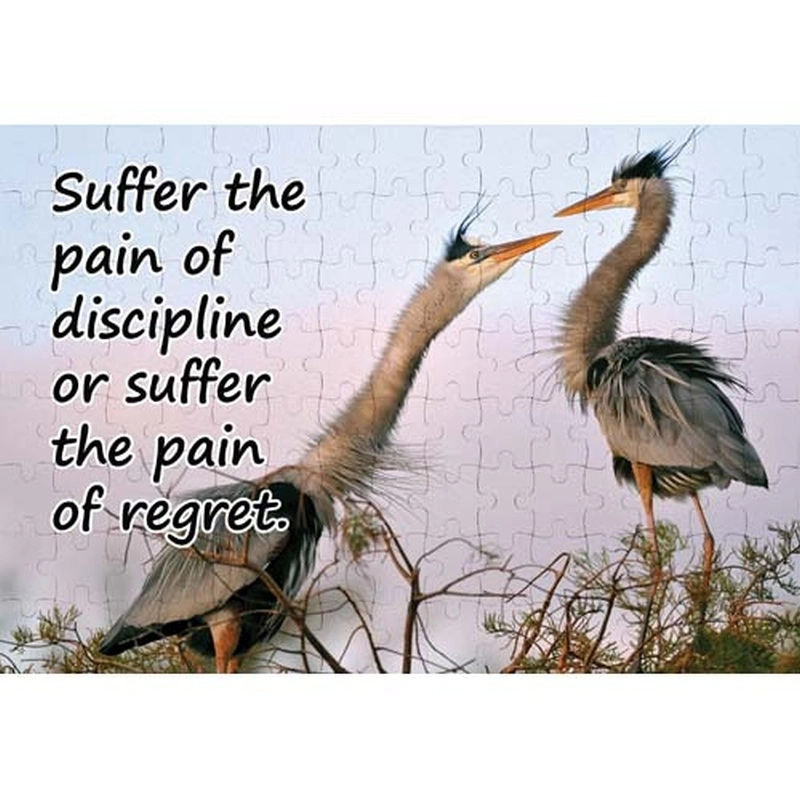 Ajooba Dubai Motivation Puzzle (7701)