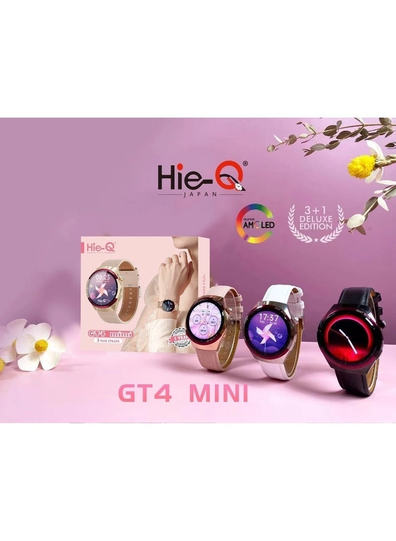 Hie-Q GT4
