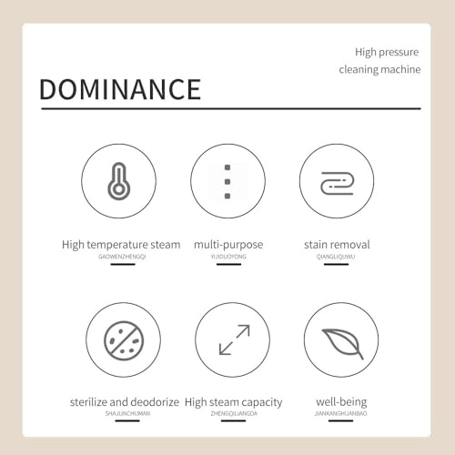 Handheld Steam Cleaner - 350ML