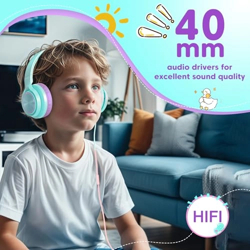 BH123A Wired Headphone