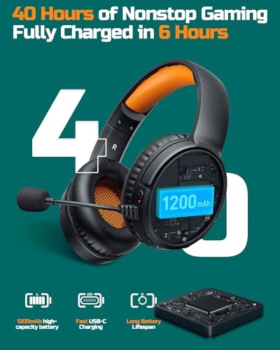 BW02-BT Wireless Headset