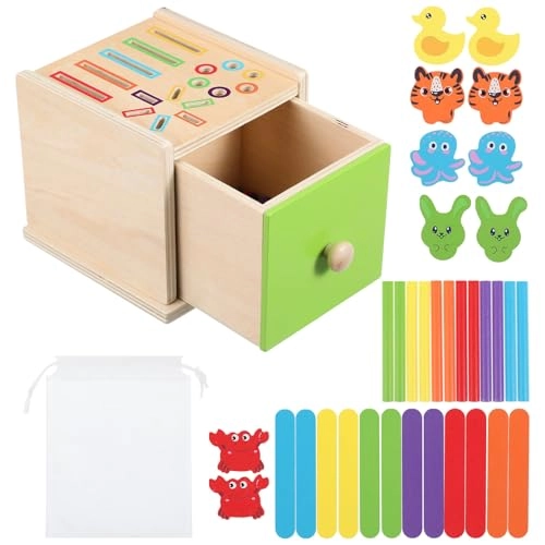 Wooden Color Matching Toy - 15 years and up