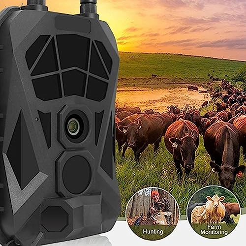 x2kvo01sut - 4G 36MP