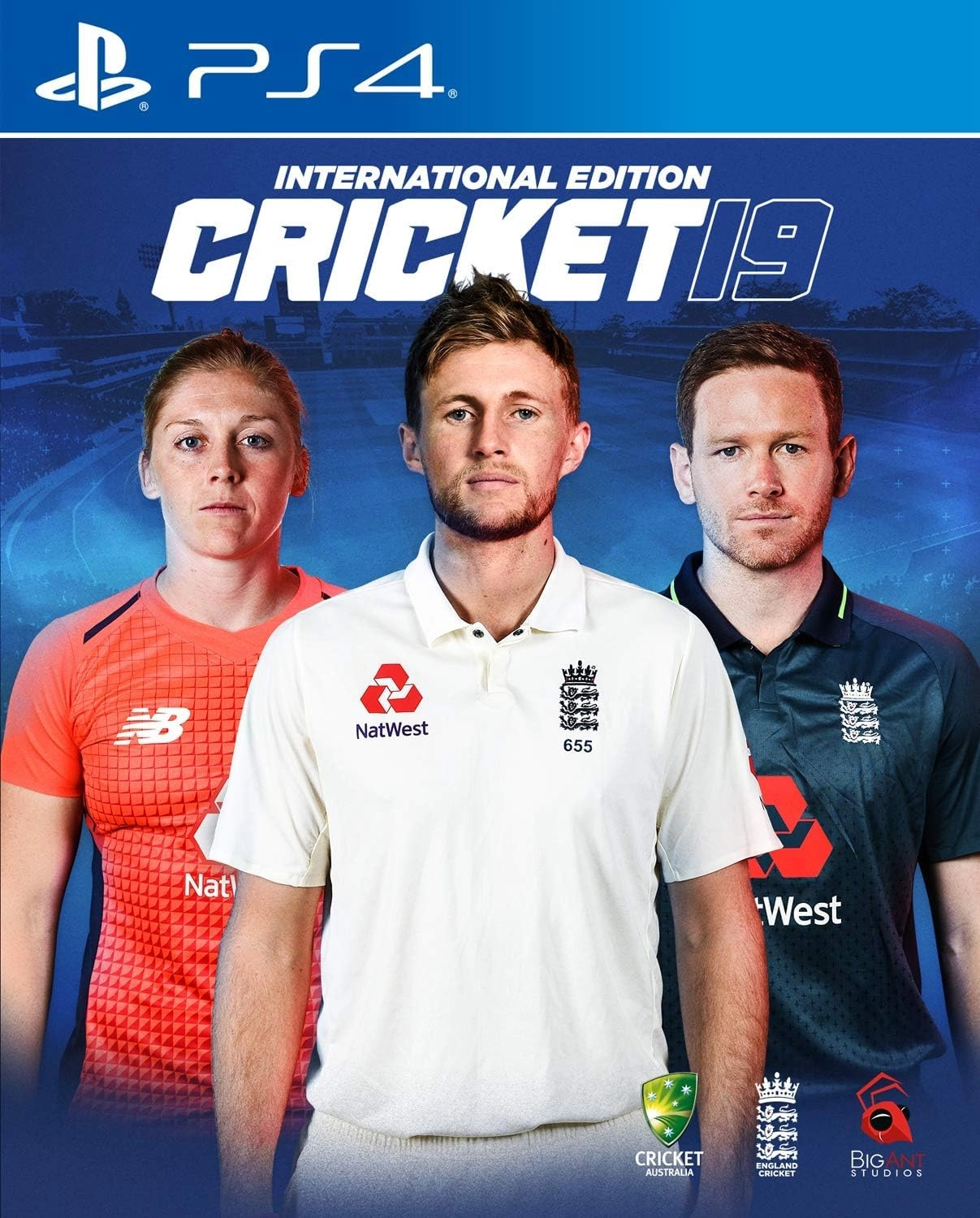 Cricket 19