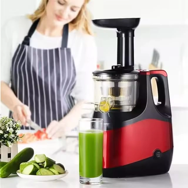 Fruit and vegetable juicer - 500W
