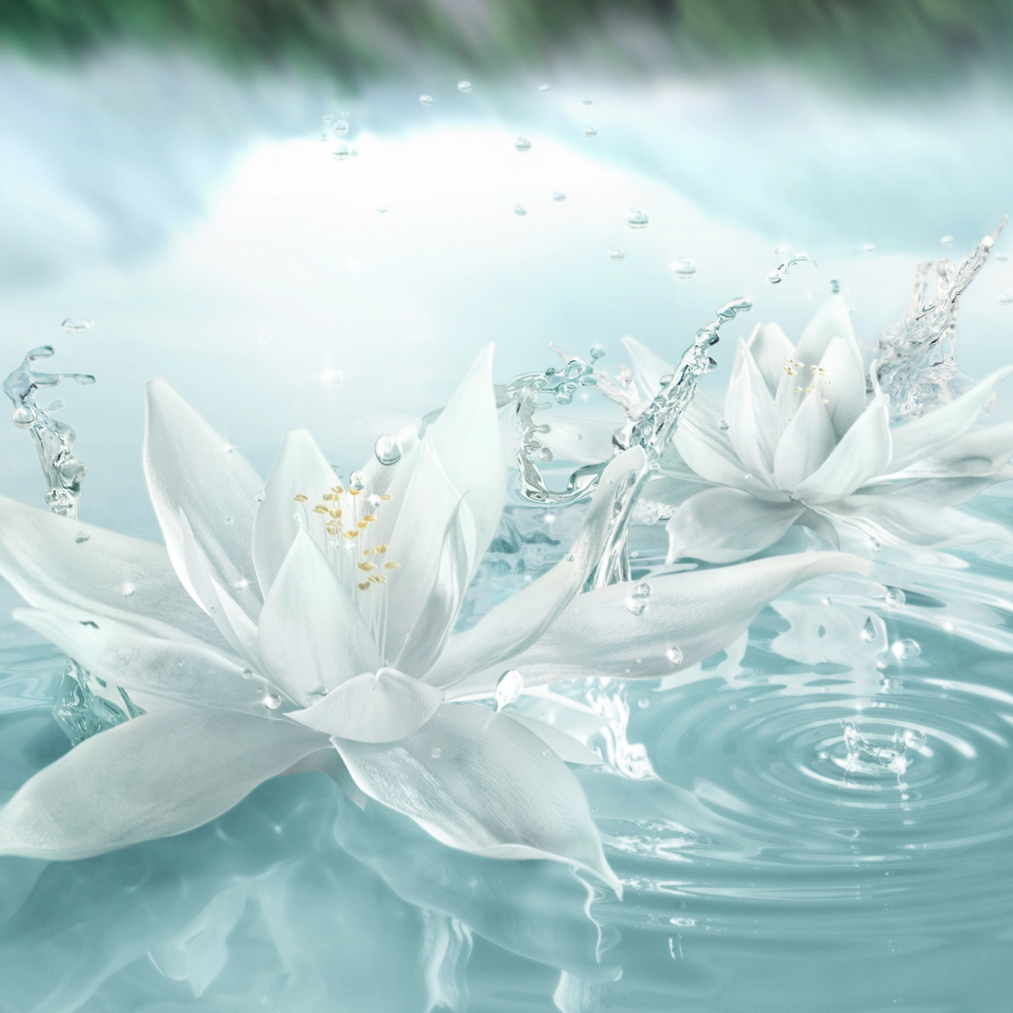 Radiant Mirage Eau de Parfum 100ml