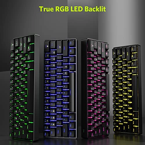 61 Keys RGB Compact Mechanical Gaming Keyboard - Wireless/Wired