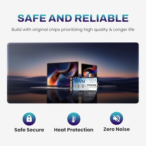 M.2 2242 SSD - 256GB