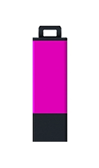 Datastick Pro - USB 2.0 8GB