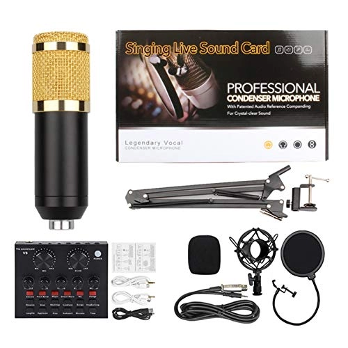 BM-800 Wired Microphone