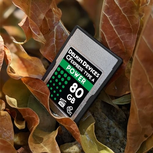 Power CFexpress Type A - 80GB