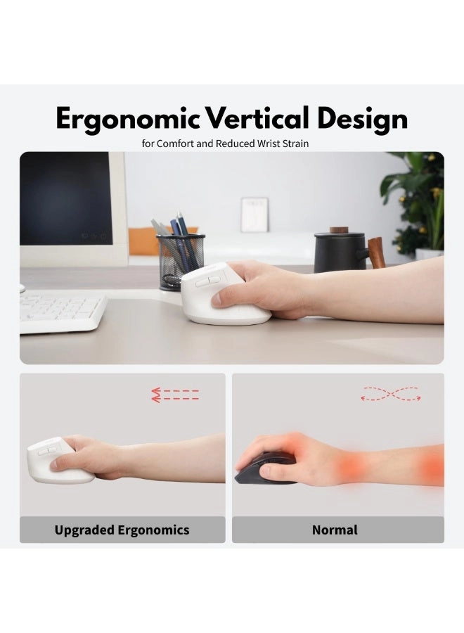 Vertical Mouse - BT5.0/4.0/2.4G