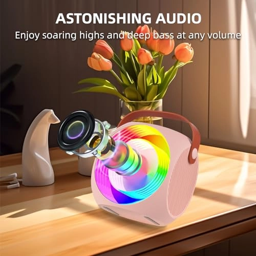 Karaoke Machine - 2 15W