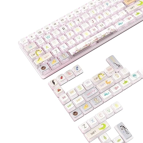 120 Keys PBT Pudding Keycaps Set - ANSI US Layout RF