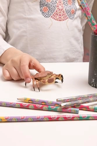 Marine Life - Crab (56047)