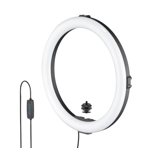Beamo Ring Light - 12"