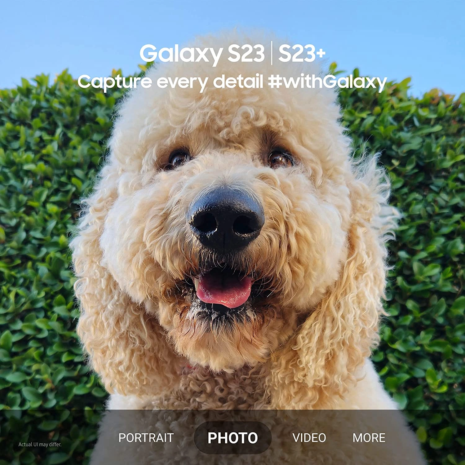 Galaxy S23 - 8GB 128GB