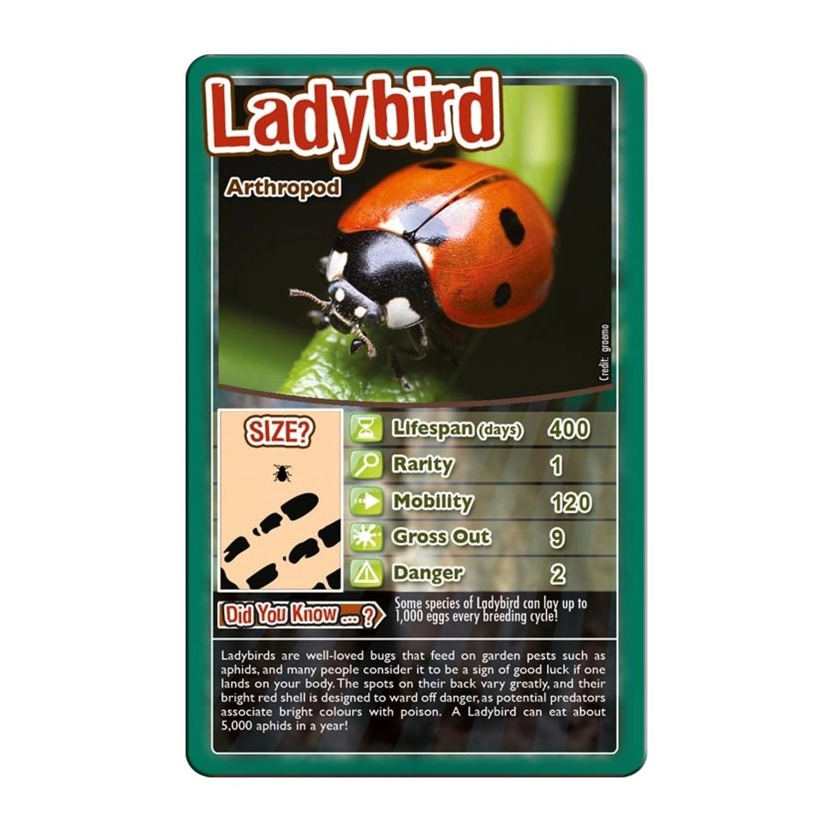 Bugs Classic Card Game - 6 years+