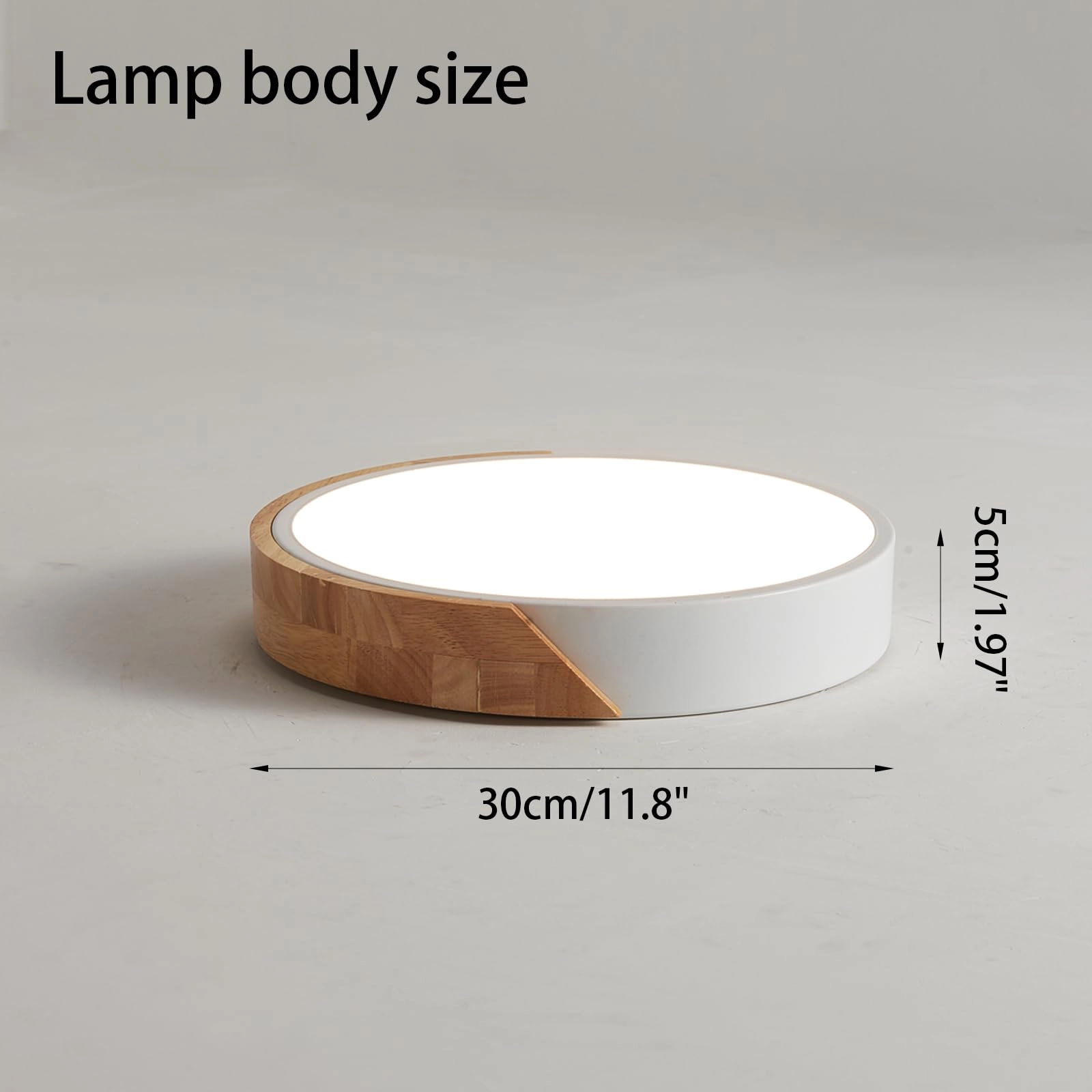 Flush Ceiling Light - 6000K 4000K 3000K Dimmable