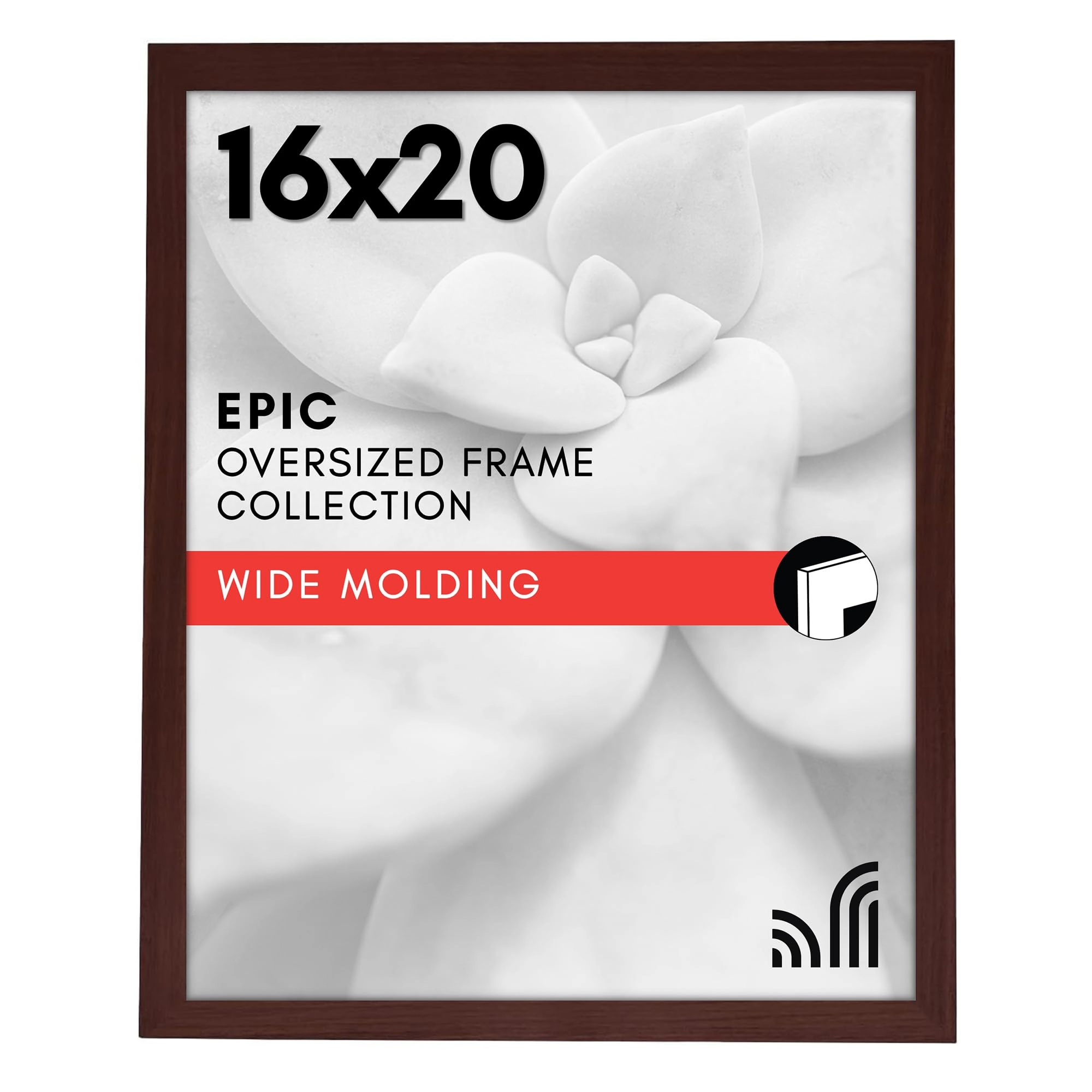Picture Frame - 16x20 1.0 Count