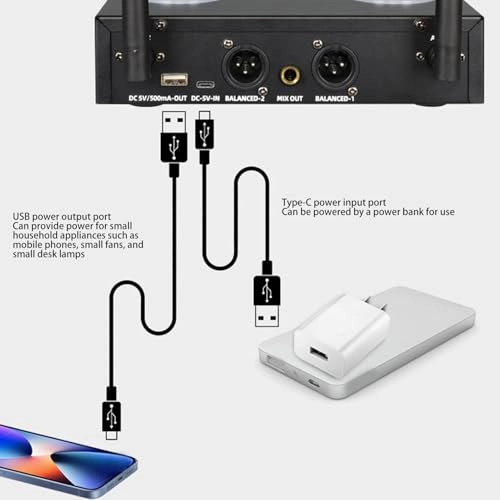 Wireless Microphone System - 2