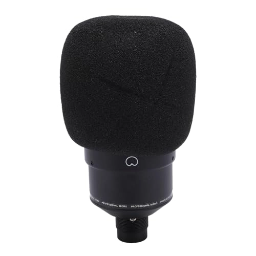 Diaphragm Condenser Studio Microphone XLR Microphone