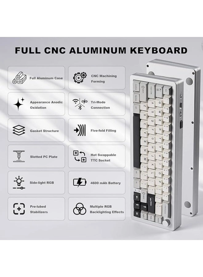 AL66 - 65% Wired/Wireless
