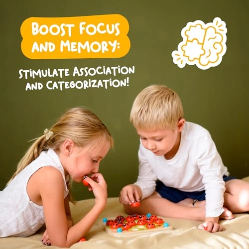 Ladybug’s Memory Game Extension - 36 months - 12 years 12 pieces