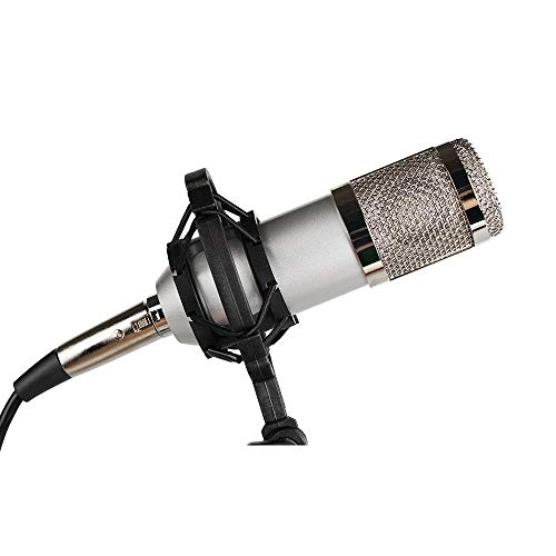 DEL0JxX8B9ZWSuWdYF 3.5mm-Mini-Jack Microphone