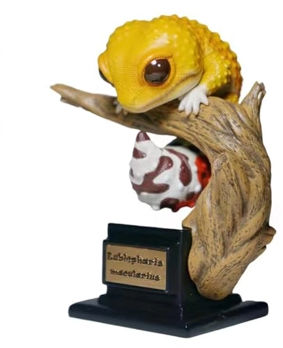 Gecko - Nephrurus Wheeleri Wheeleri (BWZ-SG)