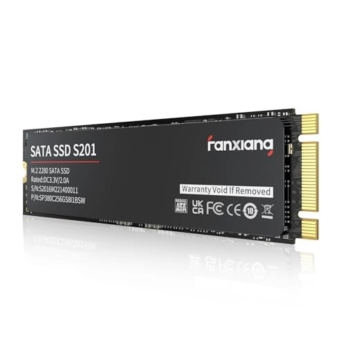 fanxiang S201 - 256GB M.2 2280