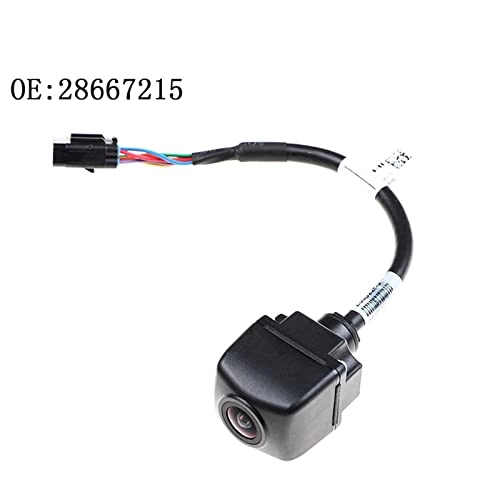 28667215 - Night vision